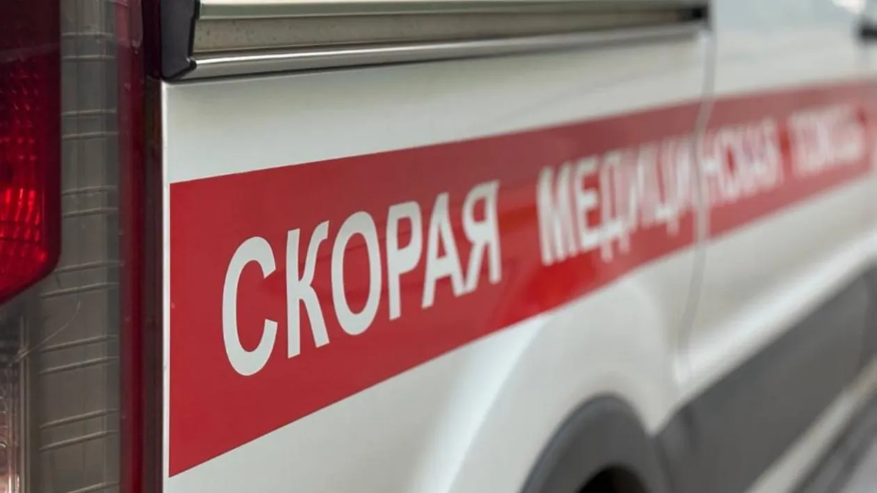Картинка