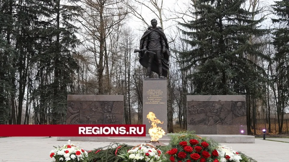 Фото: REGIONS/Александр Дрожжин