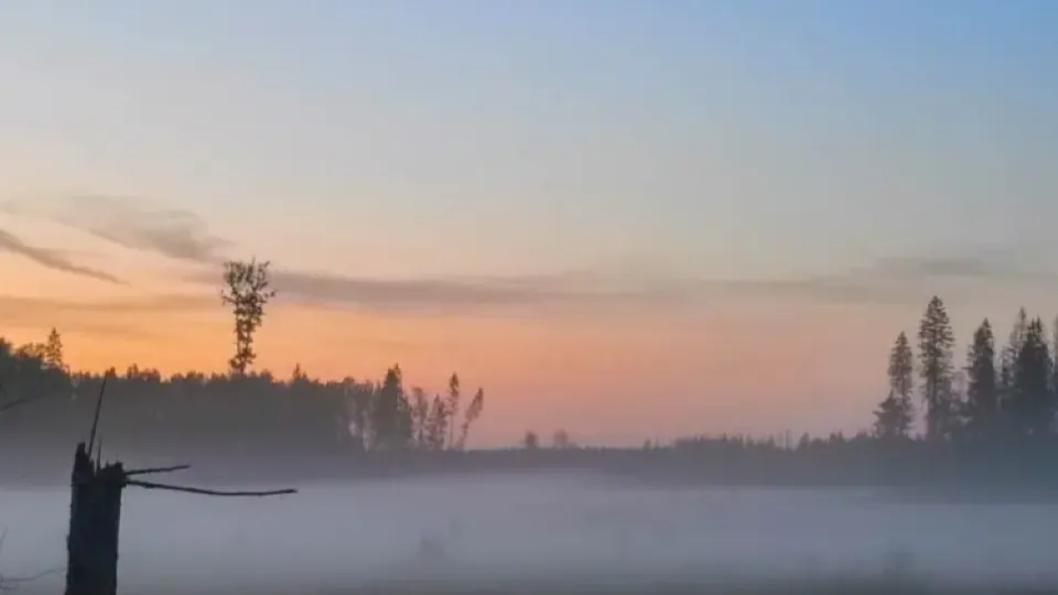 Фото: REGIONS/Роман Малышенко