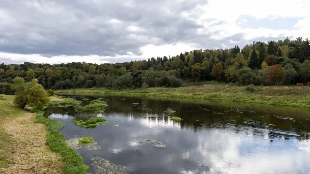 Картинка