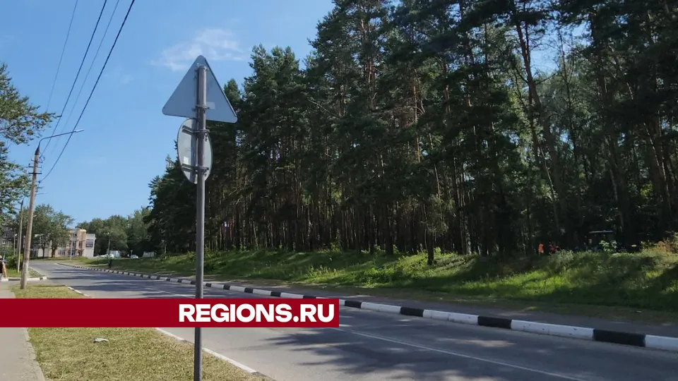 Фото: Виталий Сид