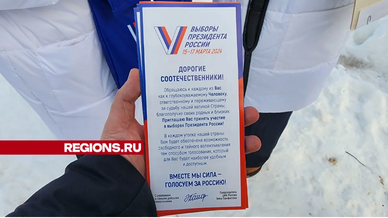 Фото: Александр Степушкин