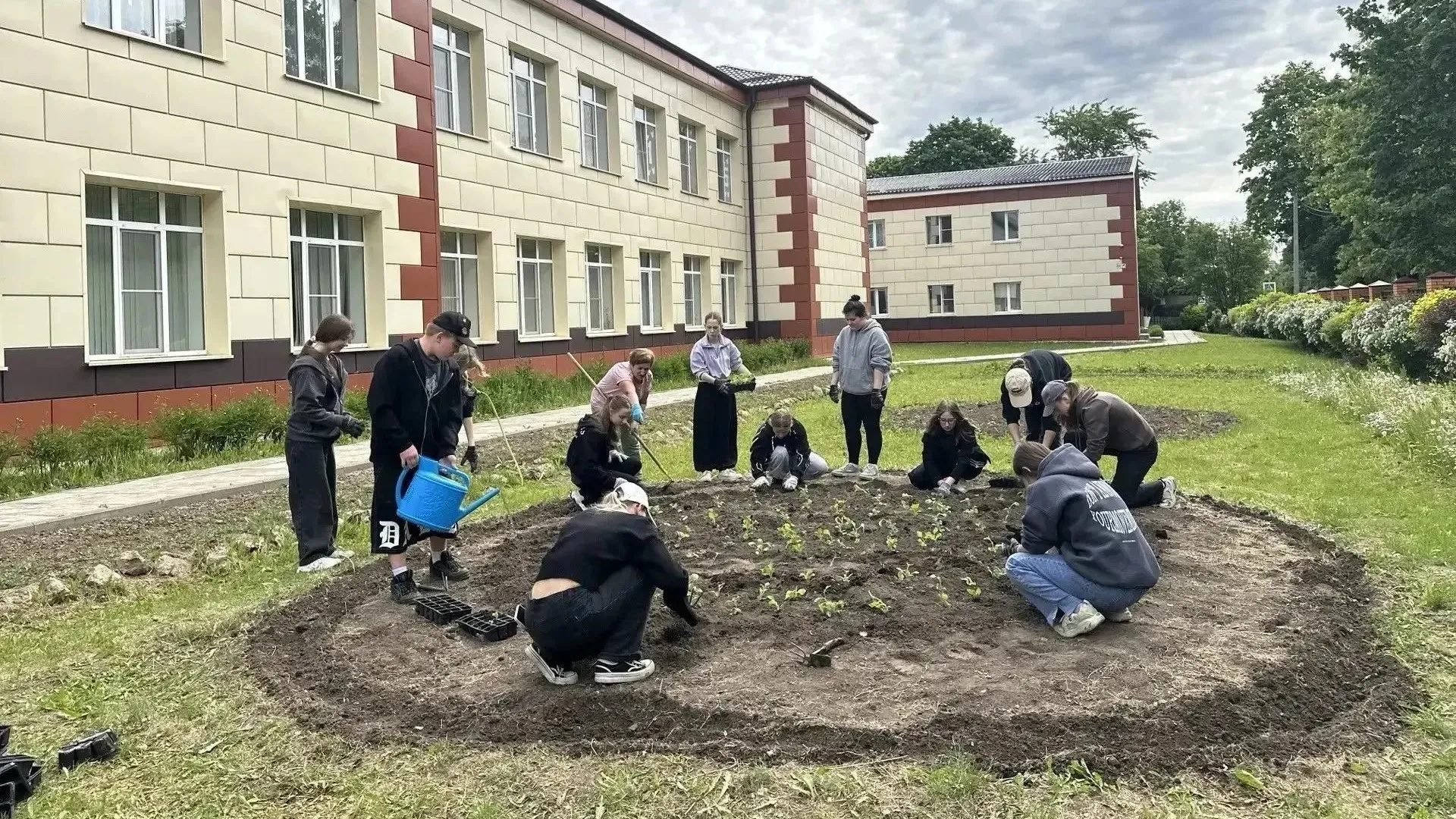 Картинка