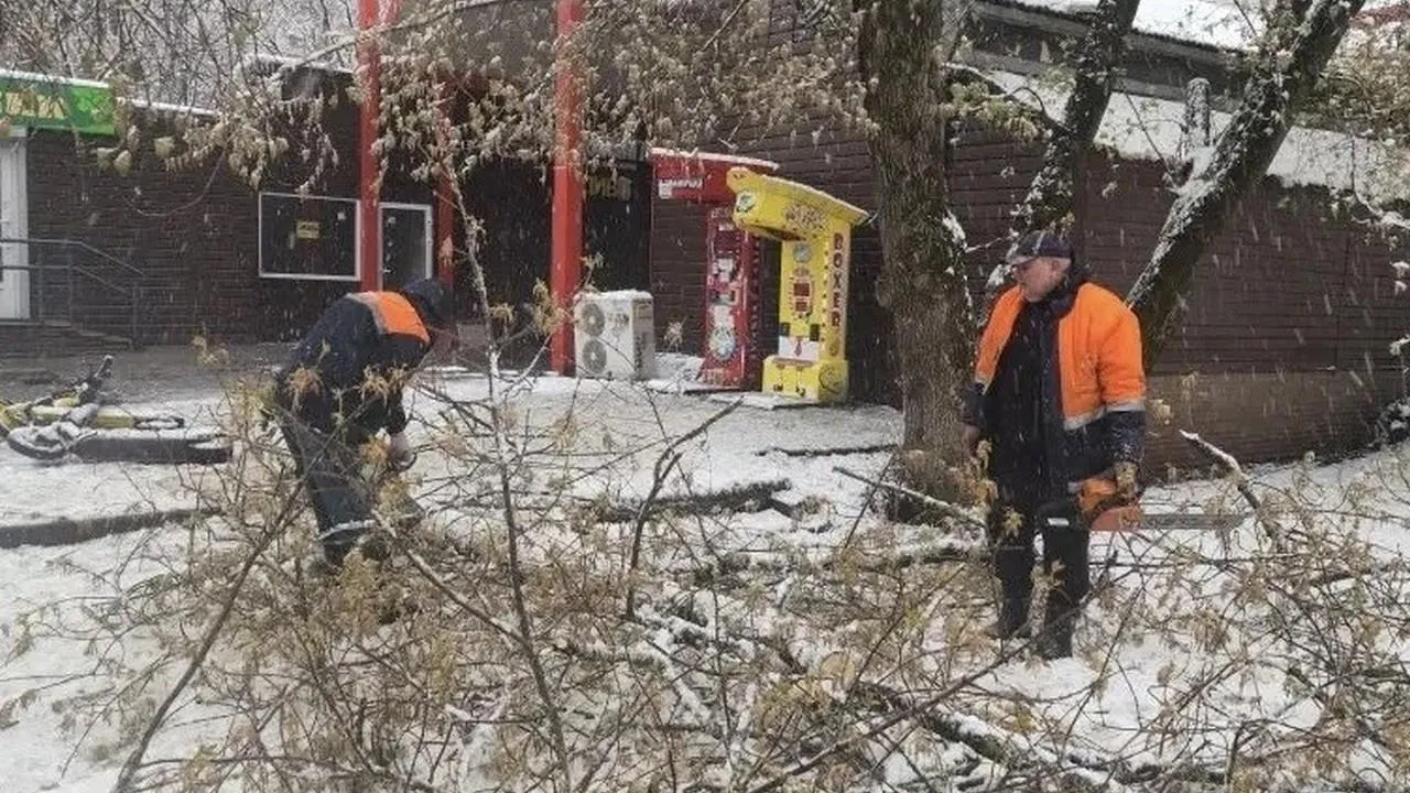 Картинка