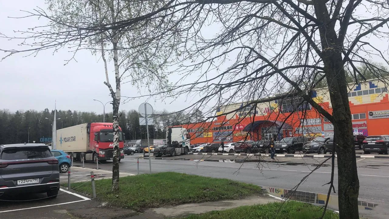 Фото: соцсети