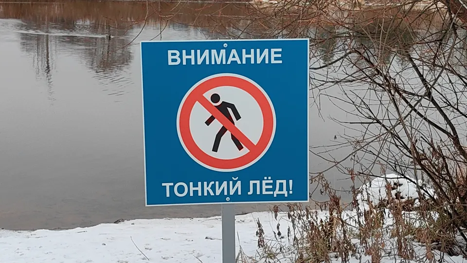 Фото: МедиаБанк Подмосковья/Елена Катасонова