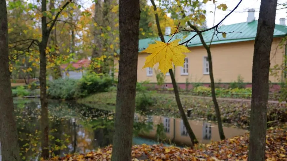 Фото: музей-заповедник «Мелихово»