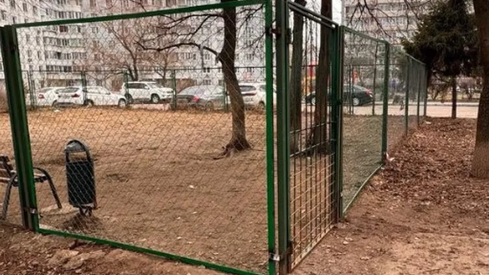 Фото: администрация городского округа Котельники