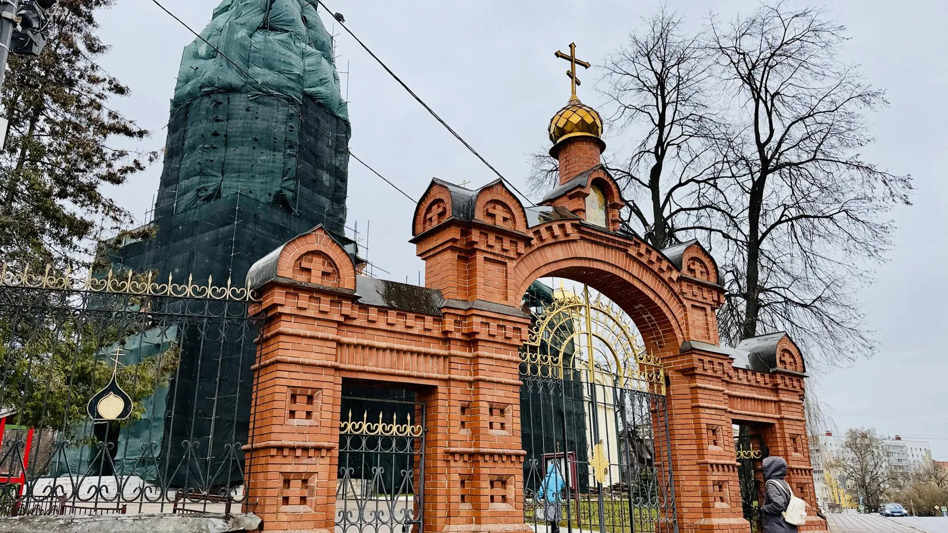 Картинка
