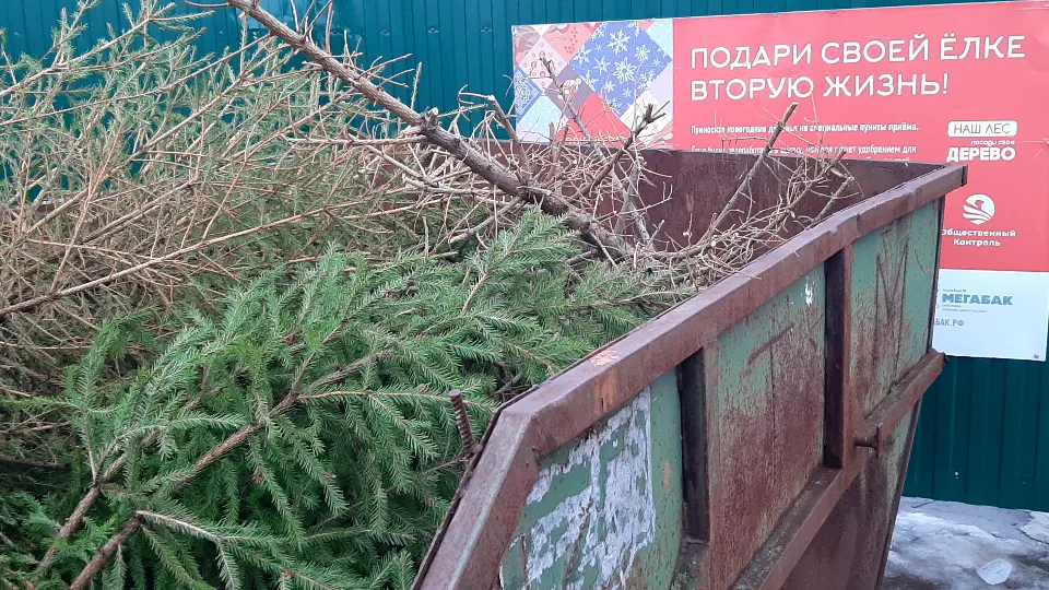 Фото: МедиаБанк Подмосковья/Жанна Однороб