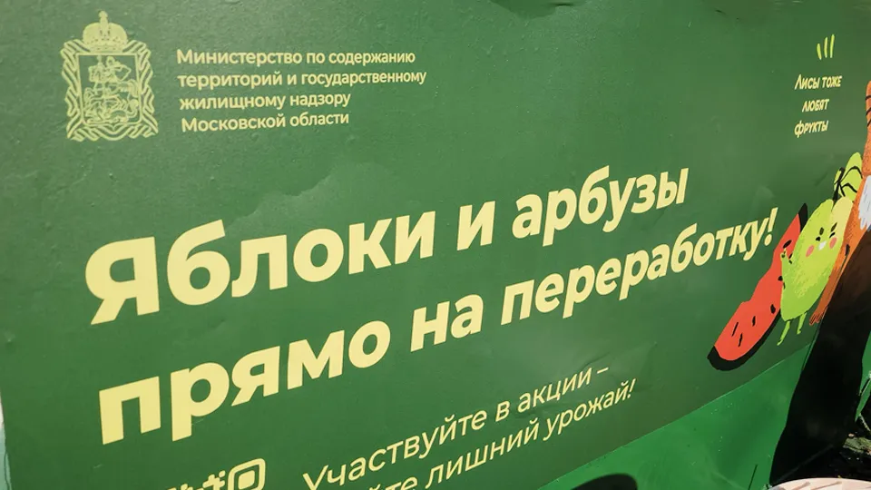 Фото: МедиаБанк Подмосковья/Никита Сморкалов