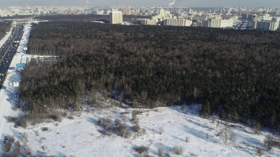 Фото: Коми