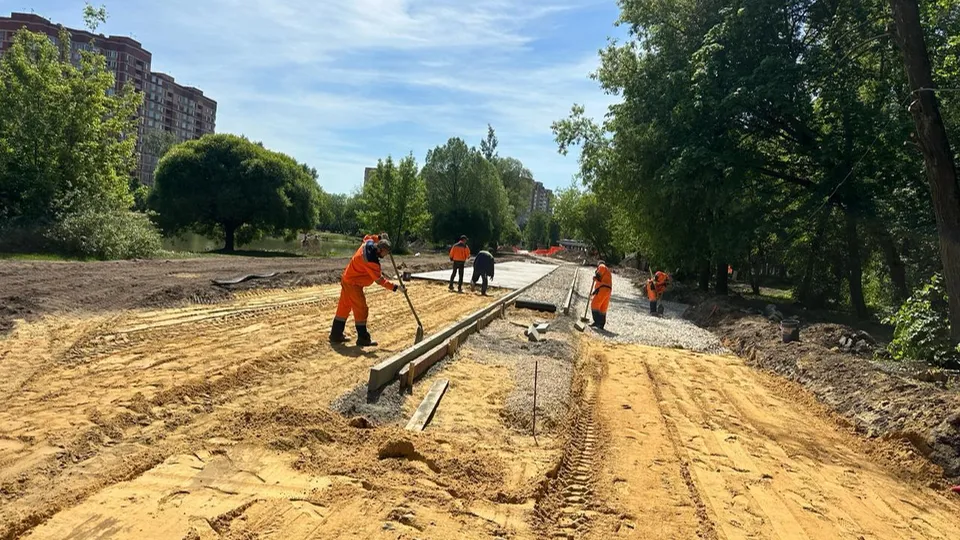 Фото: Министерство благоустройства Московской области