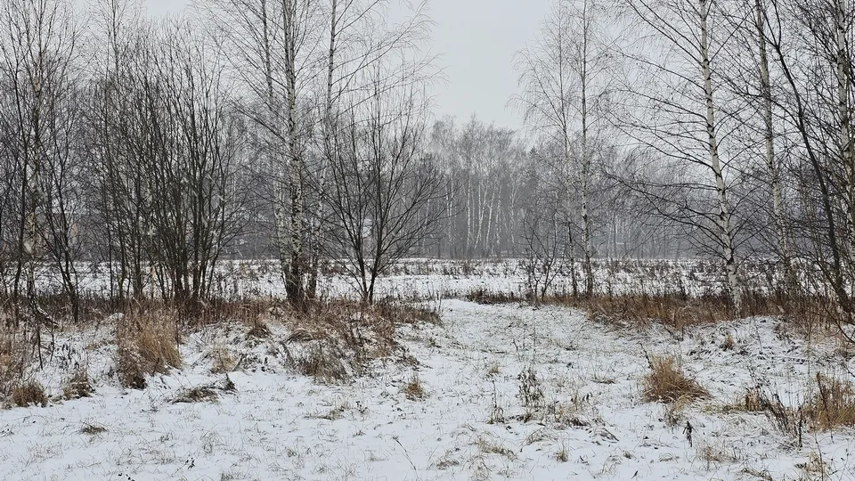 Фото: REGIONS/Александр Дрожжин