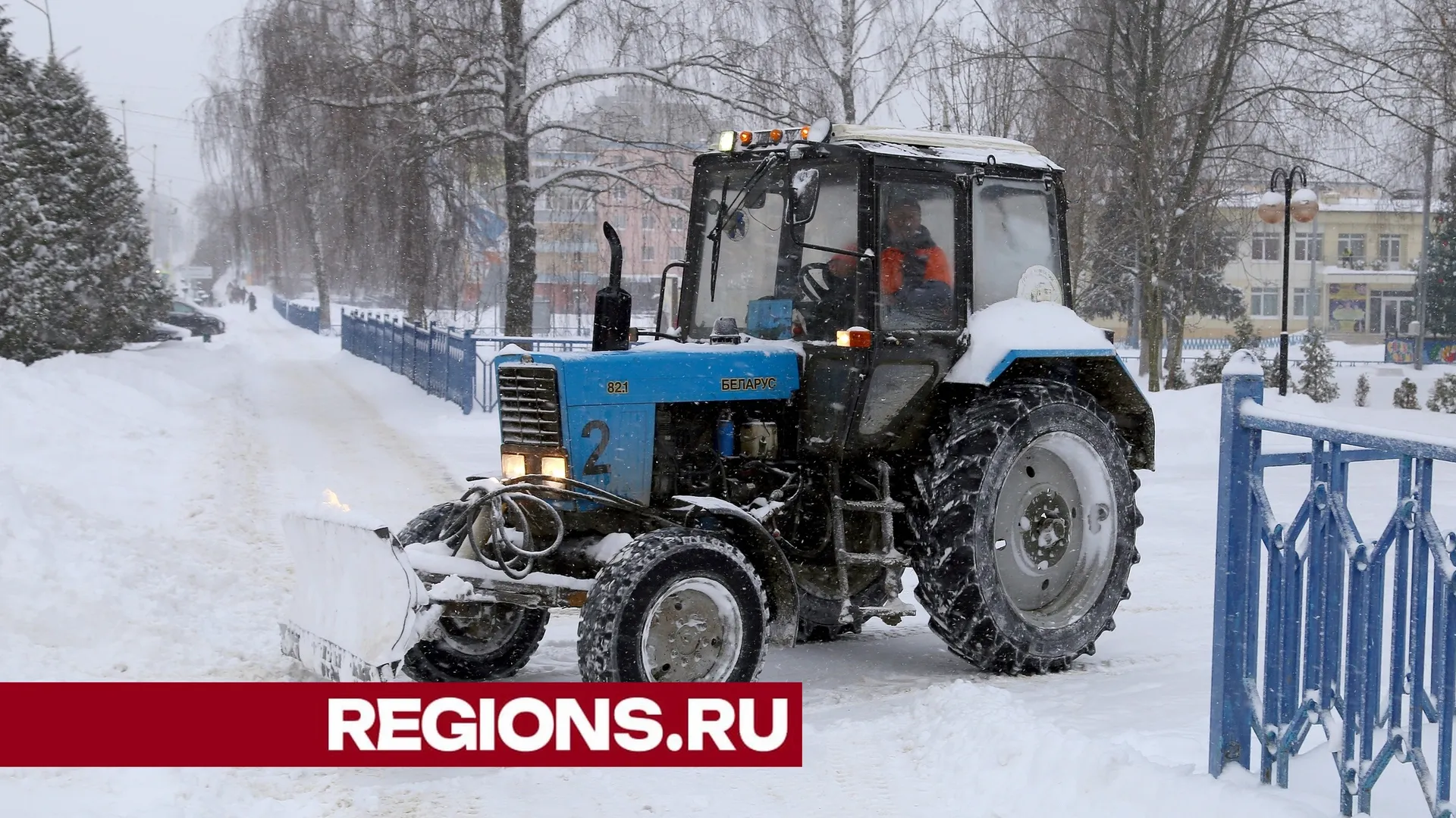 Фото: Александра Дрожжина