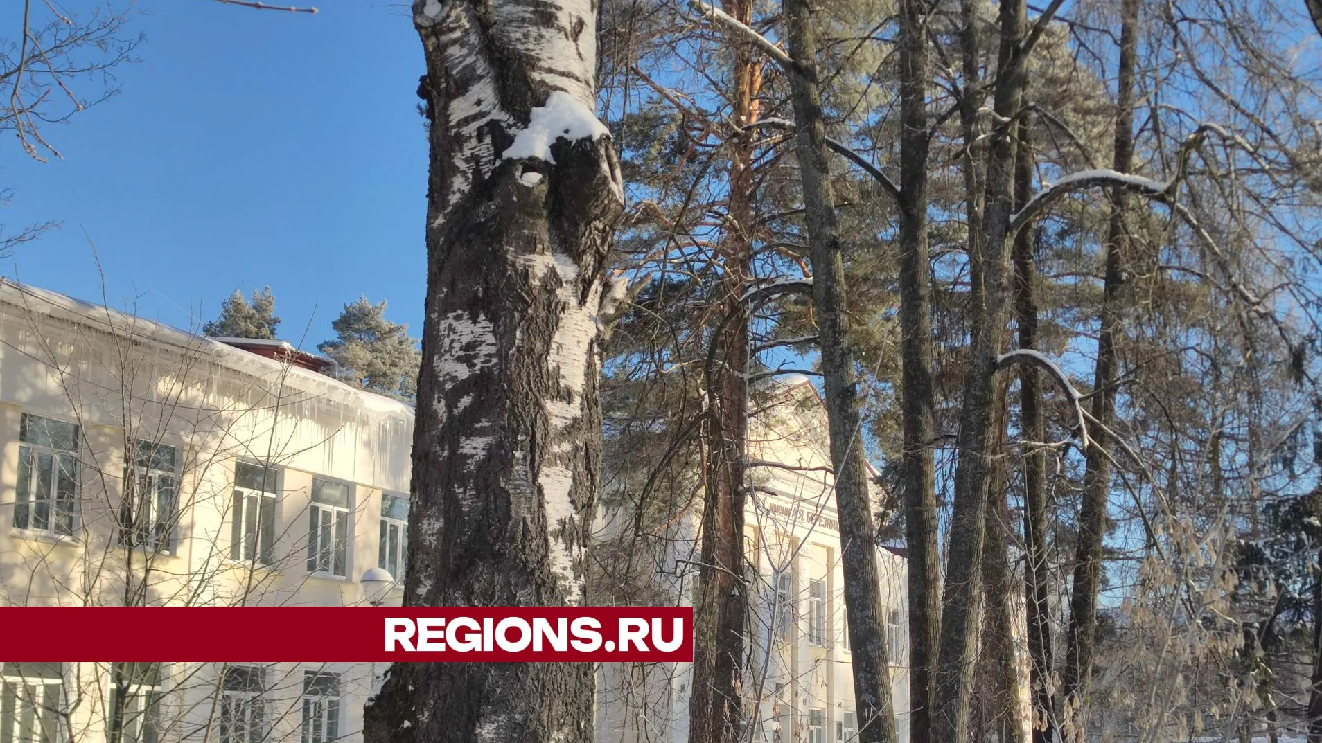 фото: Арина Кузнецова