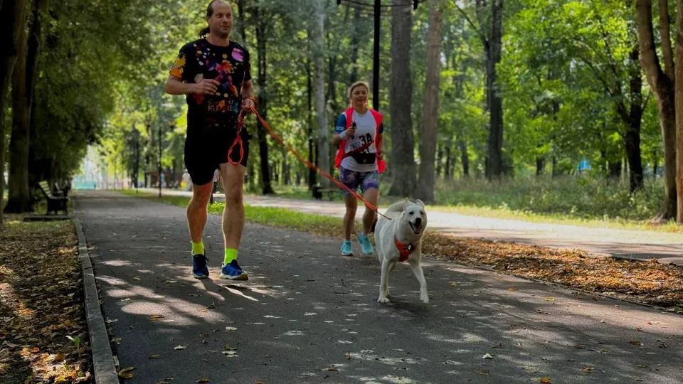Фото: МедиаБанк Подмосковья/Елена Катасонова