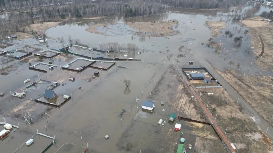 Фото: Вячеслав Ясный&nbsp;