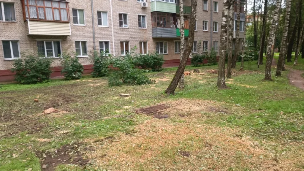 Пресс-служба администрации Наро-Фоминского городского округа