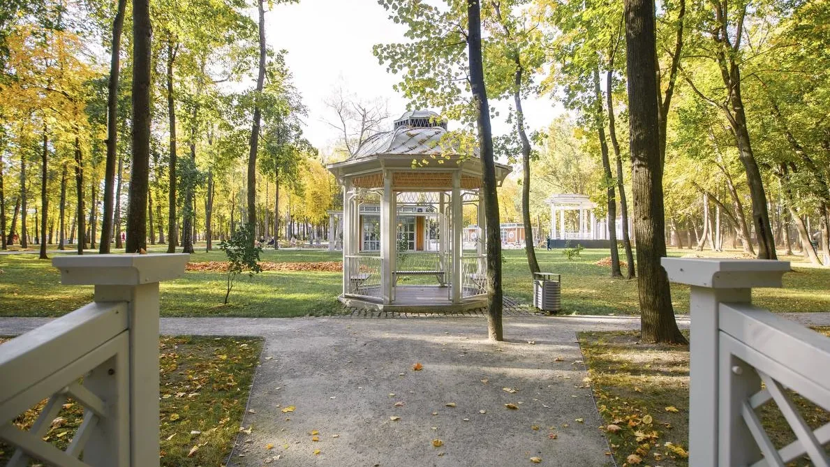 Фото: медисток.рф