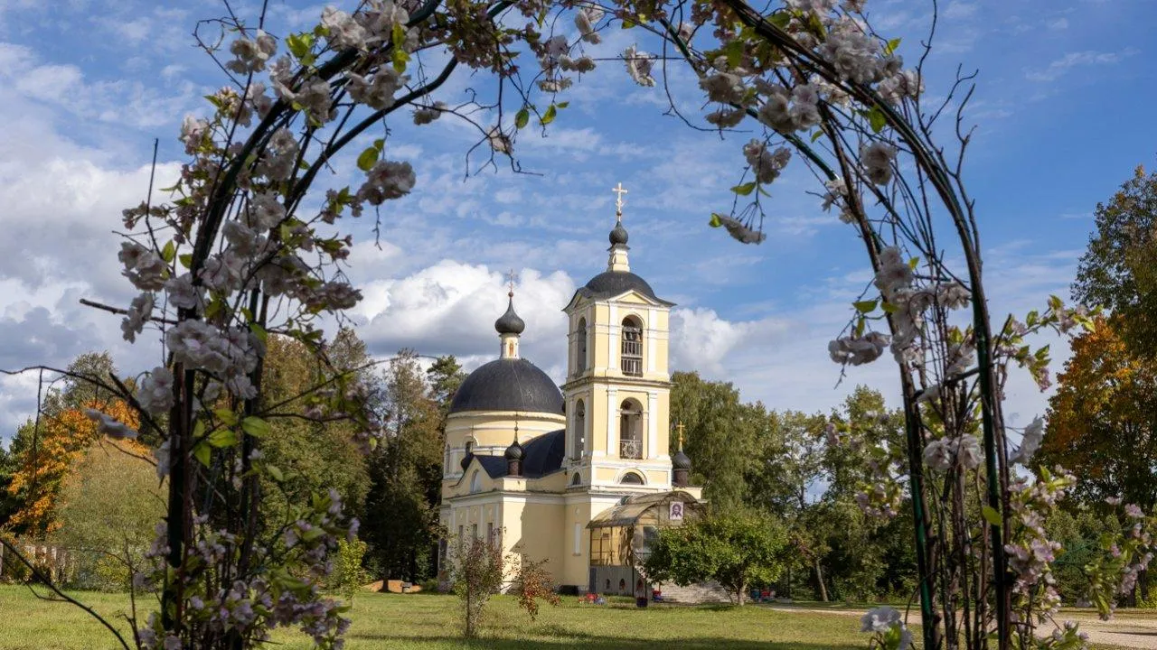 Картинка