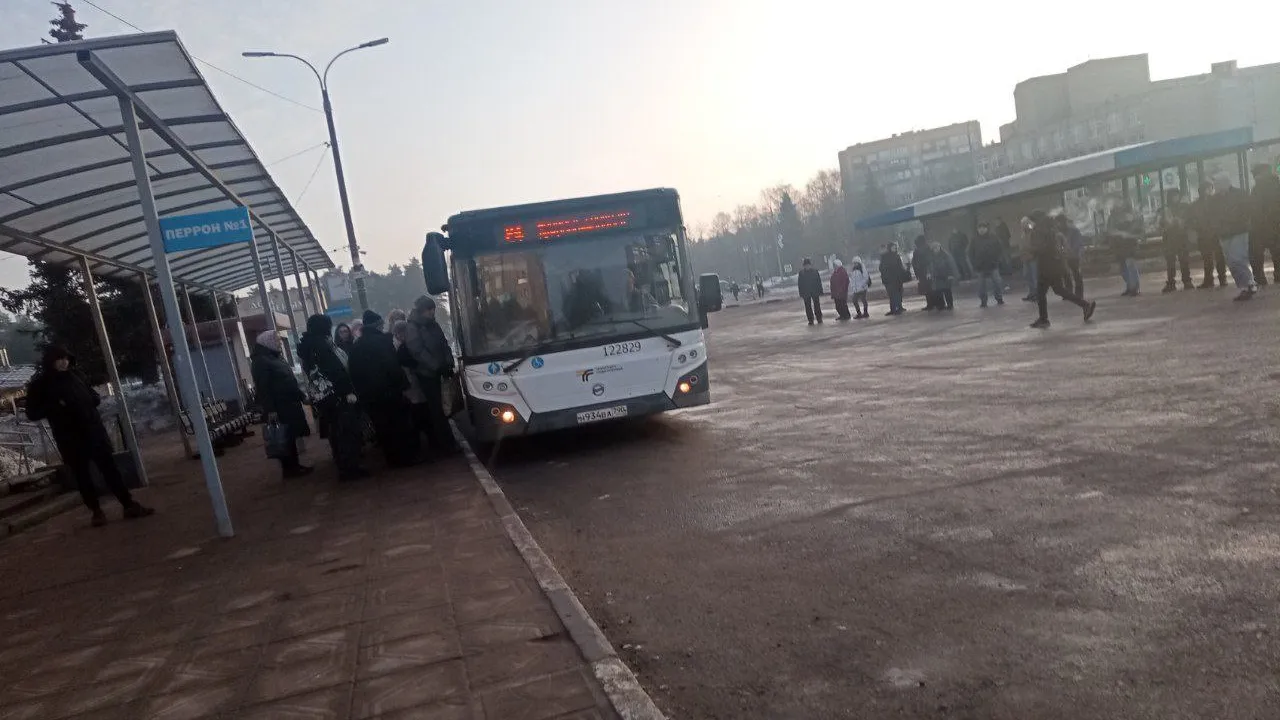 Фото: пресс-служба администрации г.о. Черноголовка
