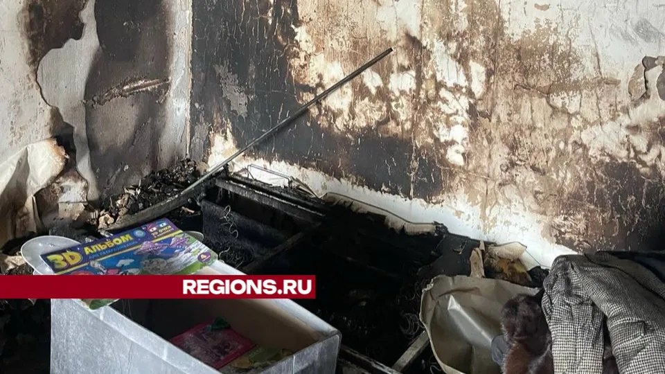 Фото: Илья Павлов