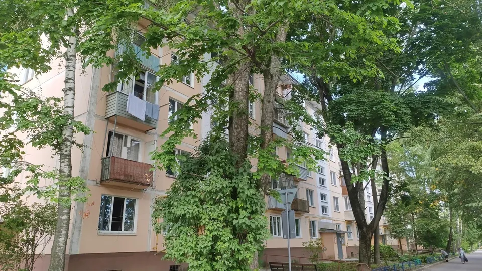 Фото: Ольга Антонова