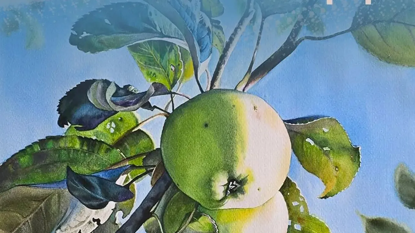 Картинка