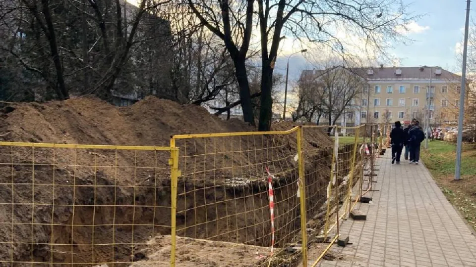 Фото: пресс-служба администрации г.о. Лосино-Петровский