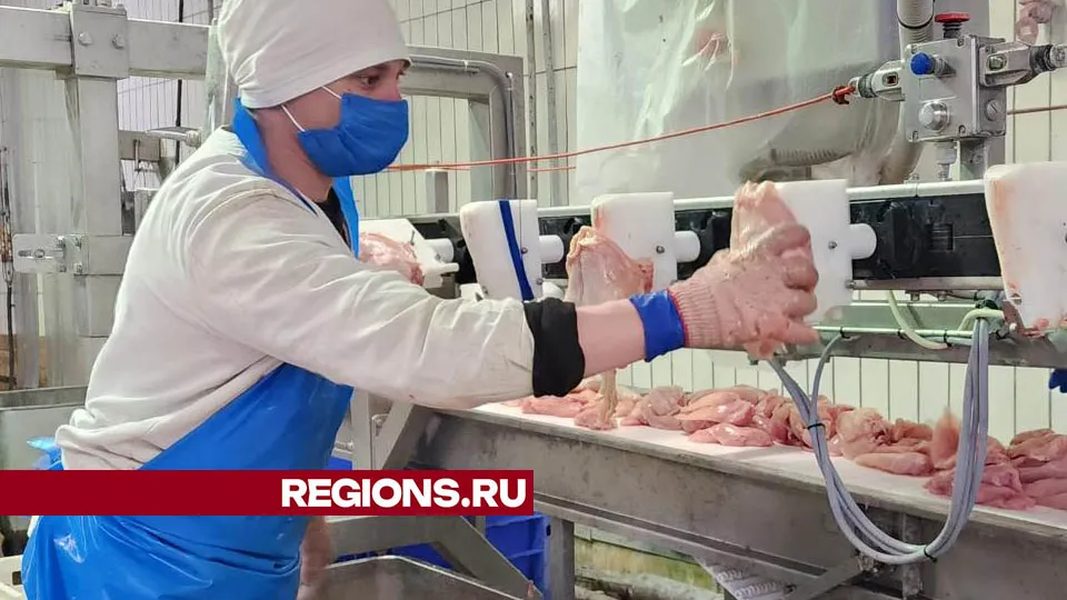 Фото: Медиабанк Подмосковья