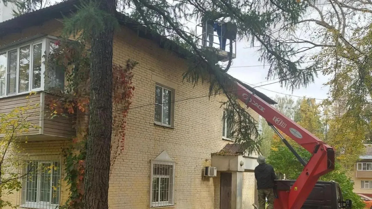 Картинка