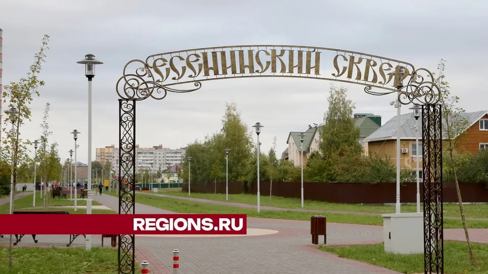 Фото: Александр Дрожжин