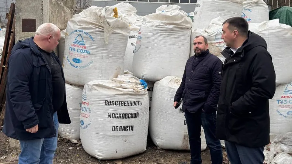 Фото: пресс-служба администрации г.о. Дзержинский