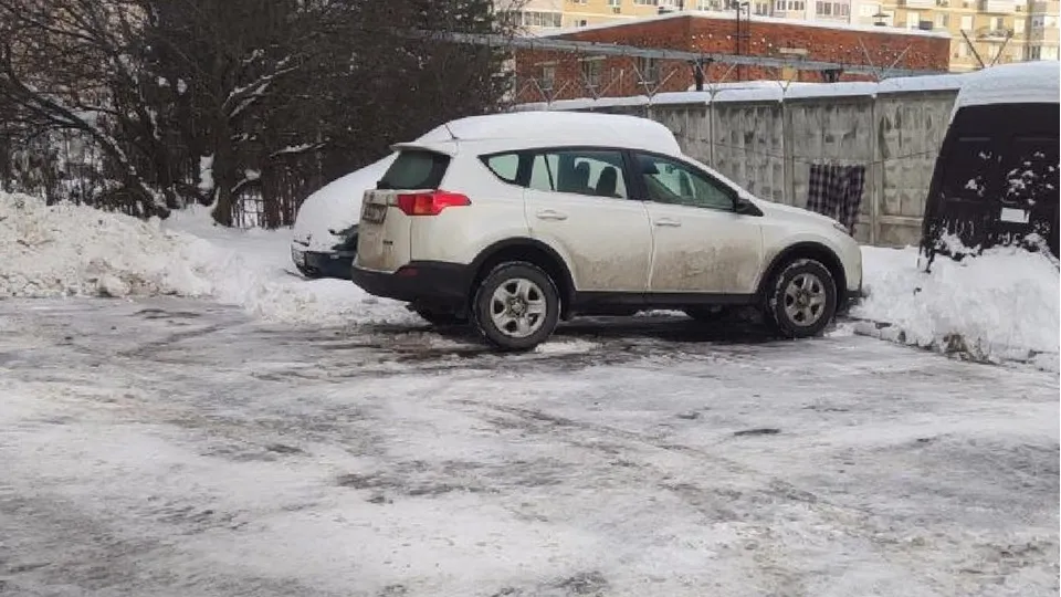 Фото: администрация Одинцовского округа