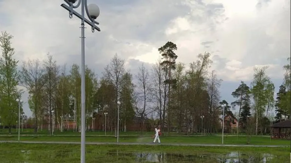 Фото: соцсети