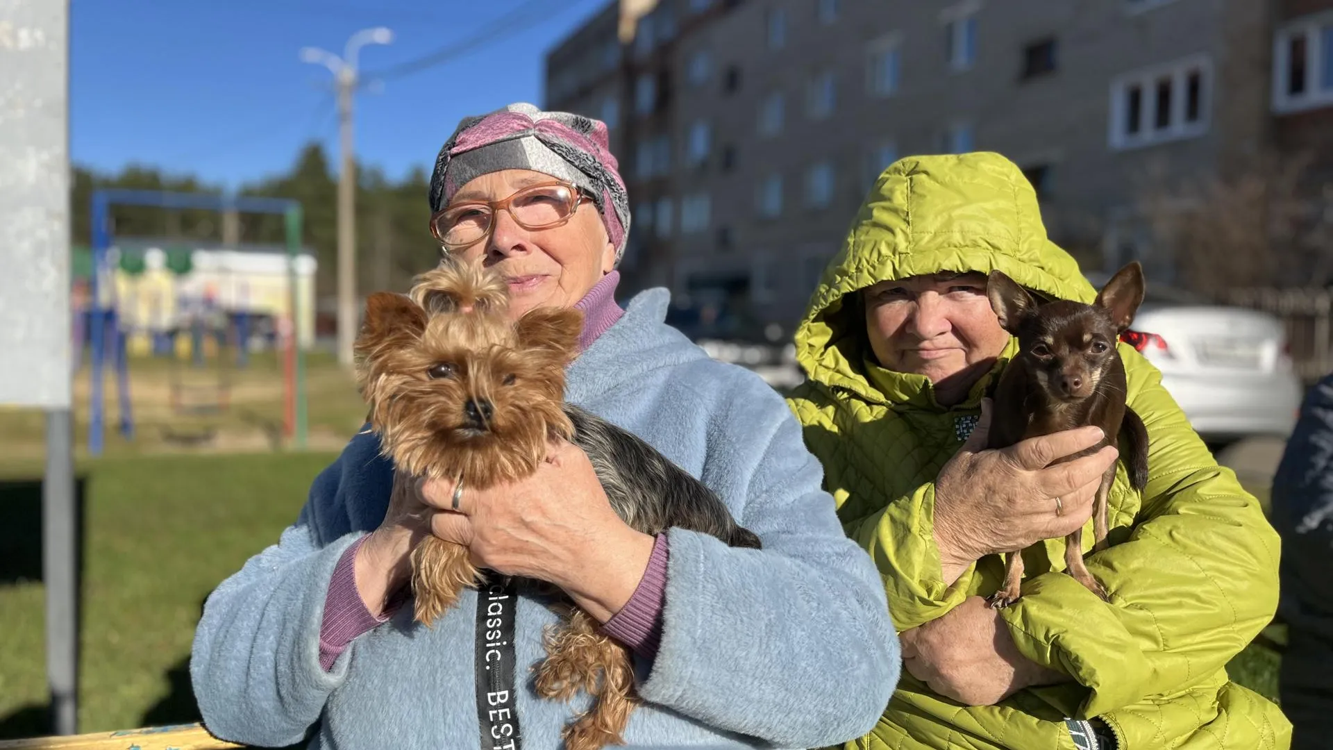 Картинка
