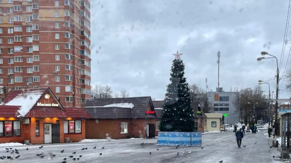 Фото: пресс-служба администрации г.о. Лобня