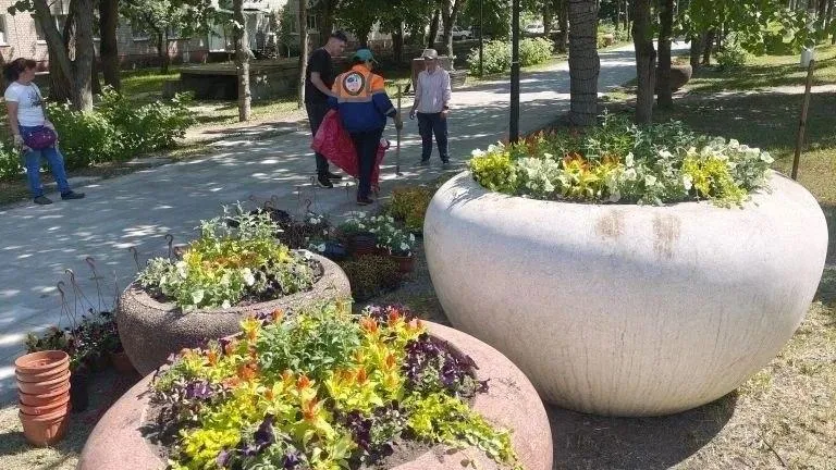 Картинка