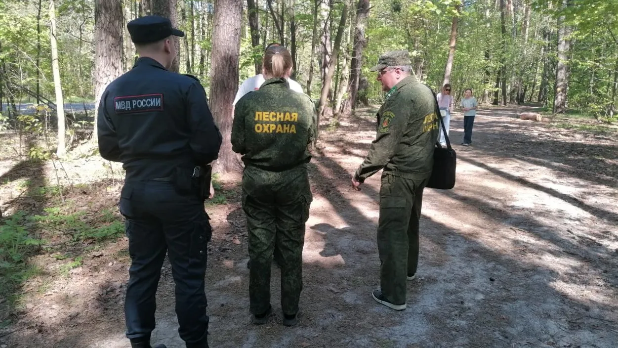 Фото: Комитет лесного хозяйства Московской области