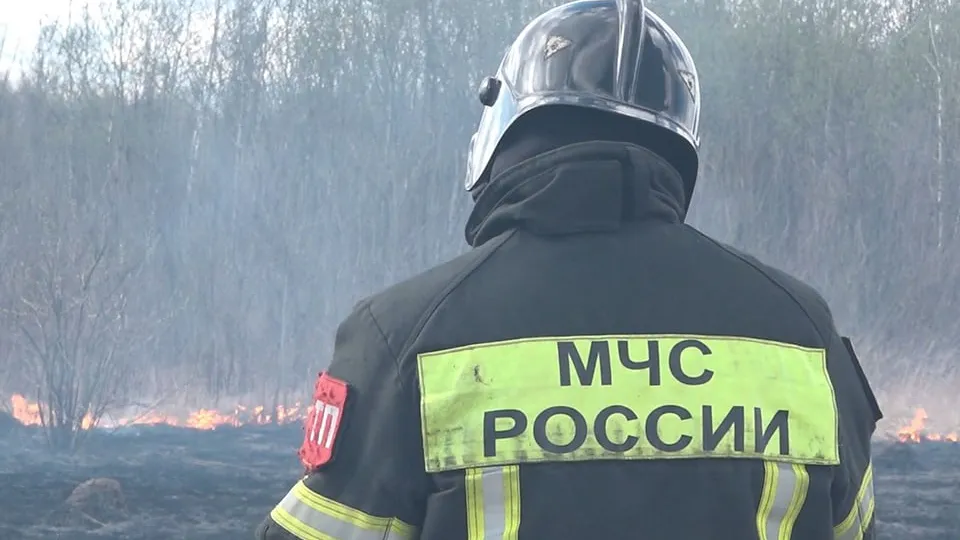 Фото: МедиаБанк Подмосковья/Наталья Надточая