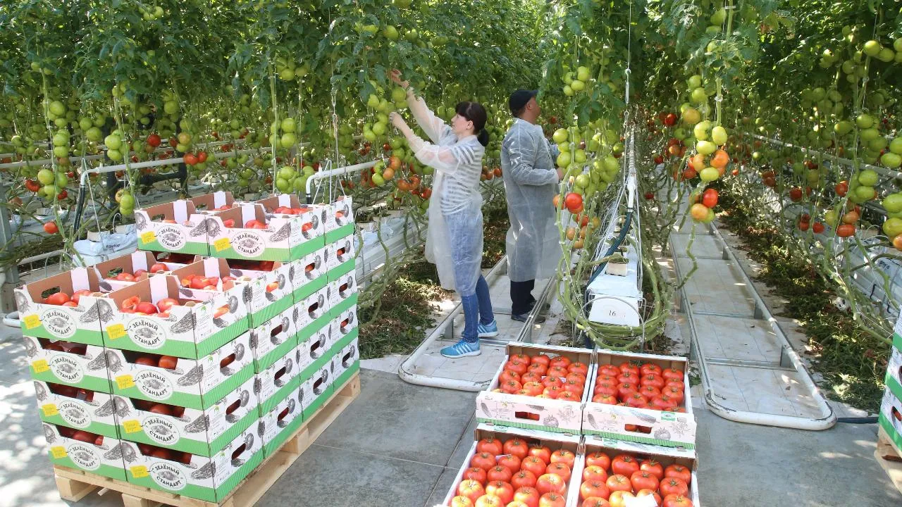 Аграрии Московской области могут принять участие в премии «Легендарные фермеры»
