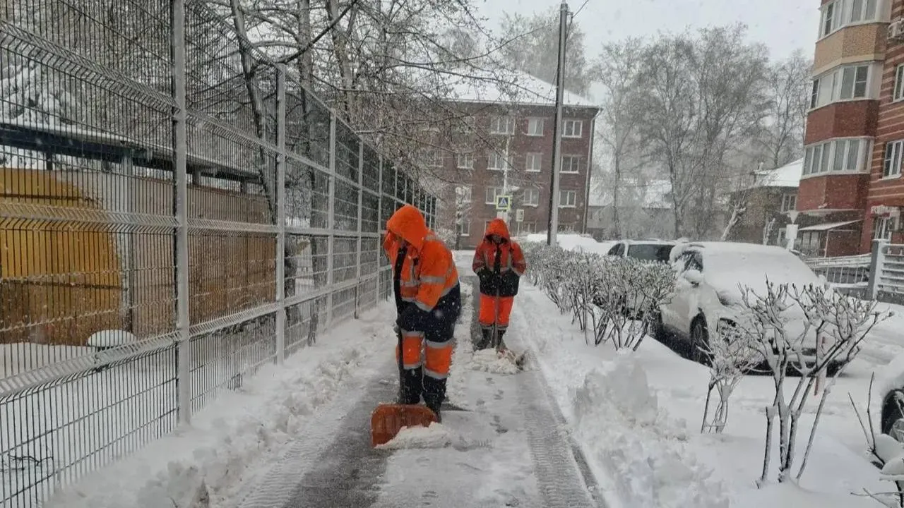 Картинка
