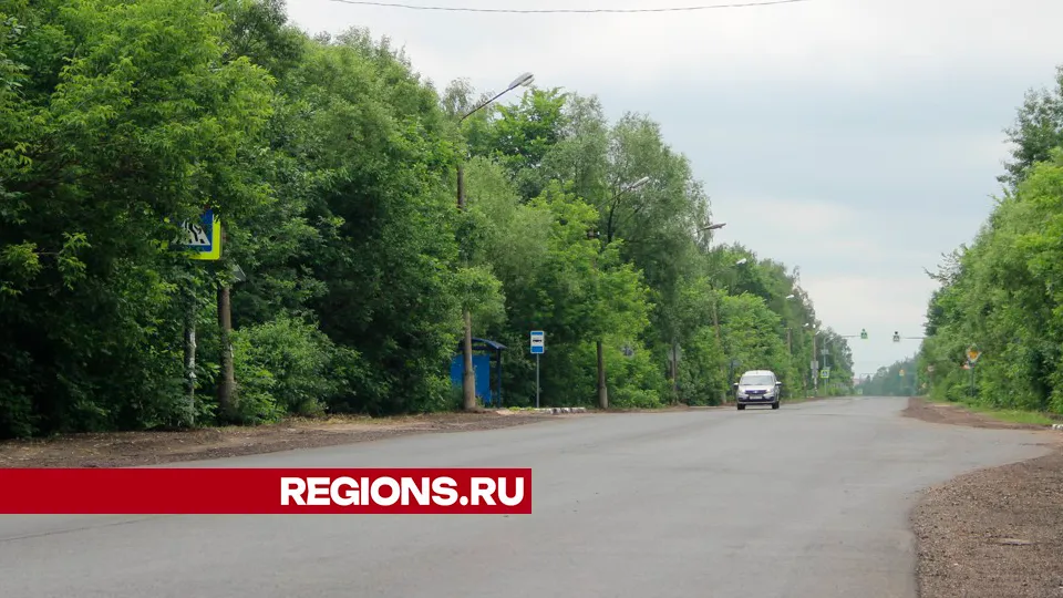 Фото: REGIONS/Василий Тремасов