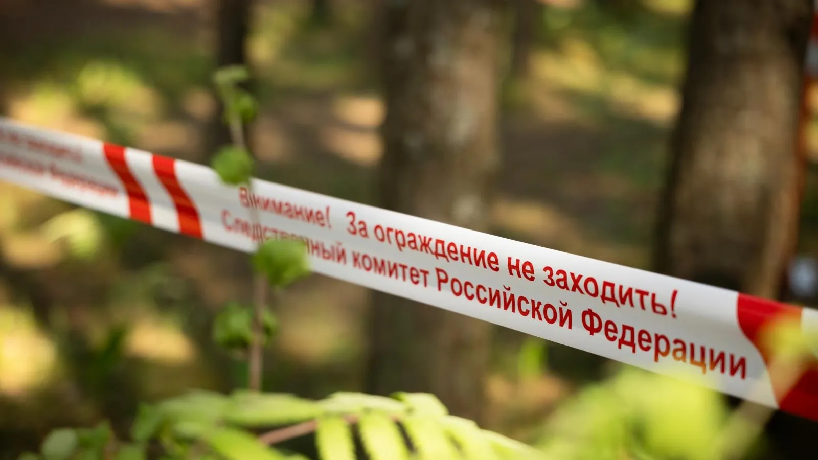 СК РФ по Тверской области