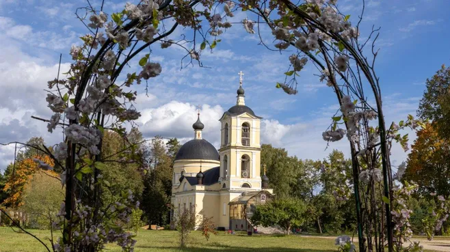 Картинка