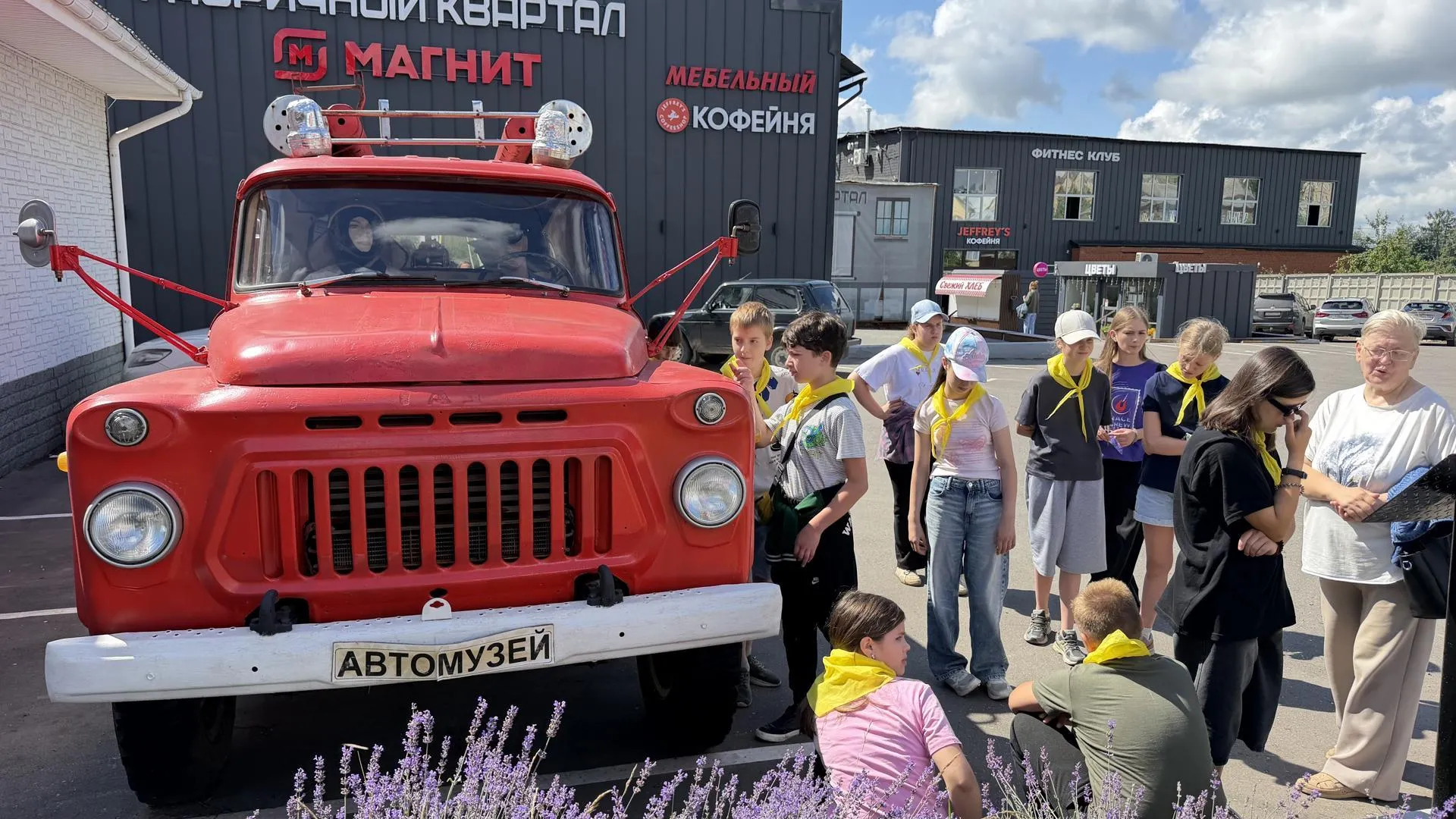 Картинка