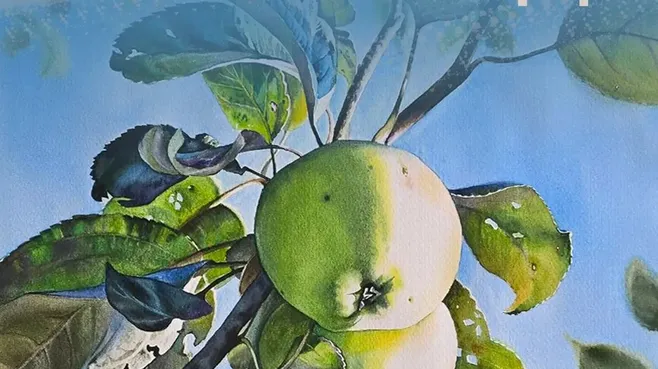 Картинка