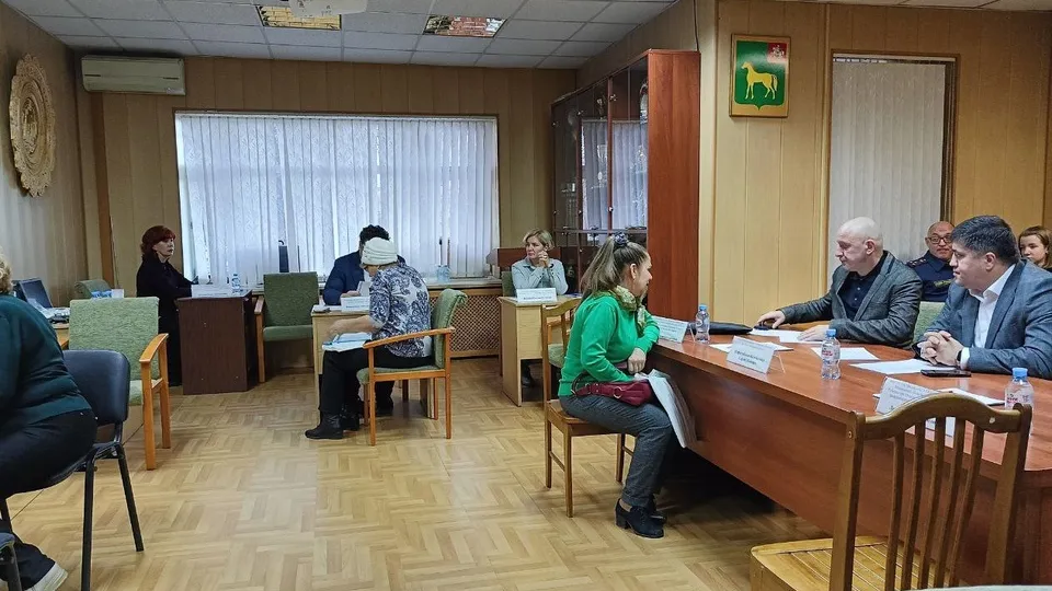 Фото: пресс-служба администрации городского округа Бронницы