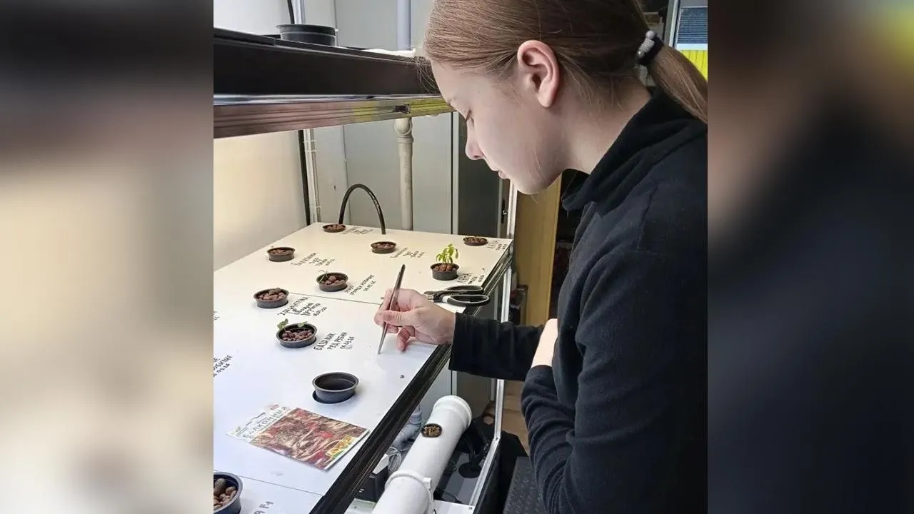 Картинка